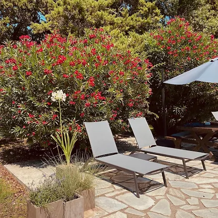 Avrami Inicio * Kokkínion