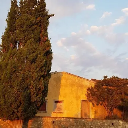 Avrami Inicio Willa *