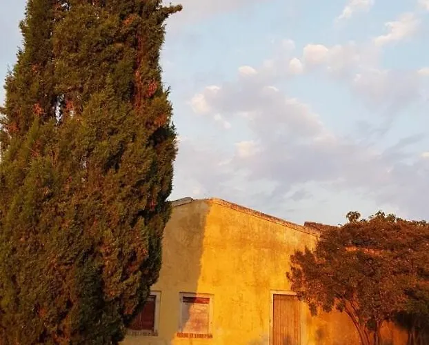Avrami Inicio Vila *