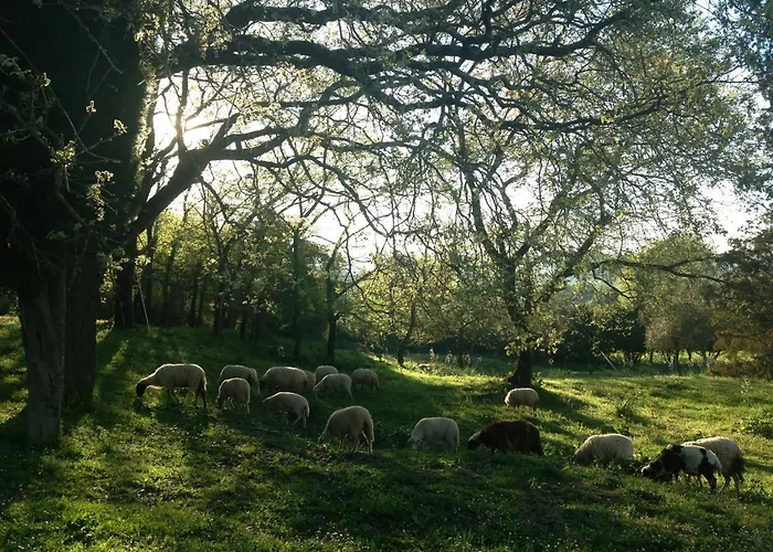 Vila Avrami Inicio Kokkínion