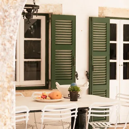 Avrami Inicio