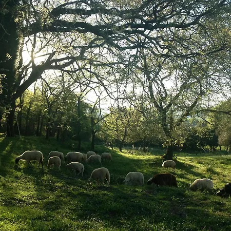 Villa Avrami Inicio Kokkínion
