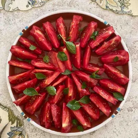 Avrami Inicio 빌라